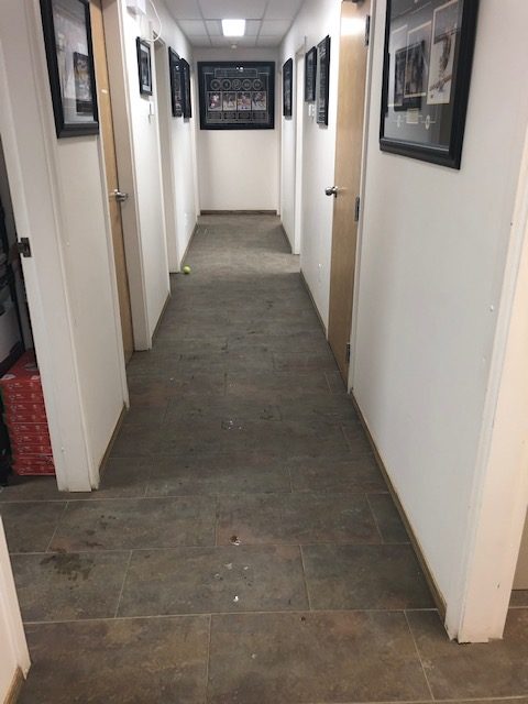 Office Hallway Cleaning