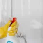 best cleaning services in Edmonton